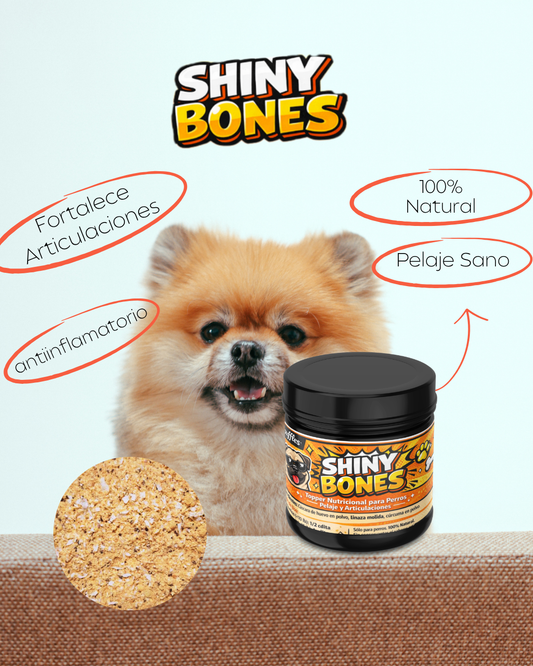 Shiny Bones