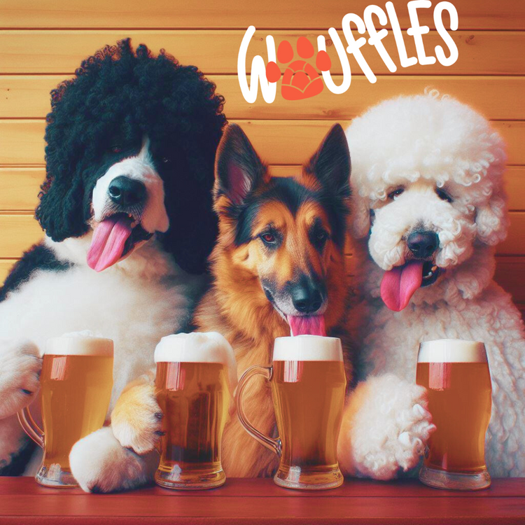 Cervecitas para perros | Bebidas