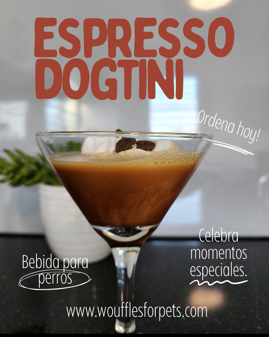 Bebidas Para Perros