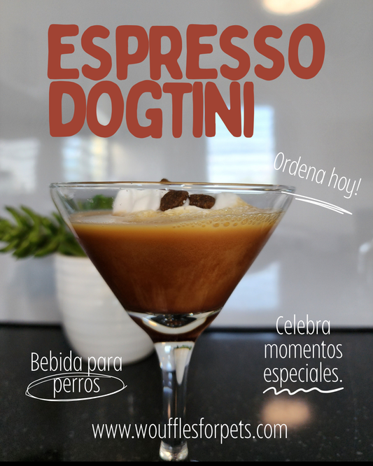 Bebidas Para Perros