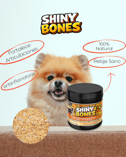 Shiny Bones